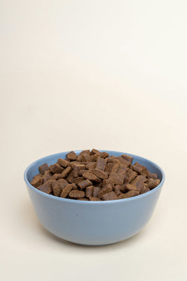 Decoding Dog Food Labels: What 'Grain-Free,' 'Human-Grade,' and Other Buzzwords Really Mean