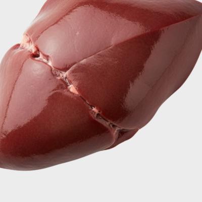 Close-up of a piece of beef liver on a white background