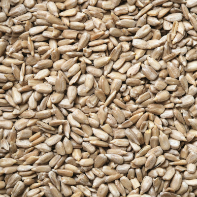 Close-up of a pile of sunflower seeds
